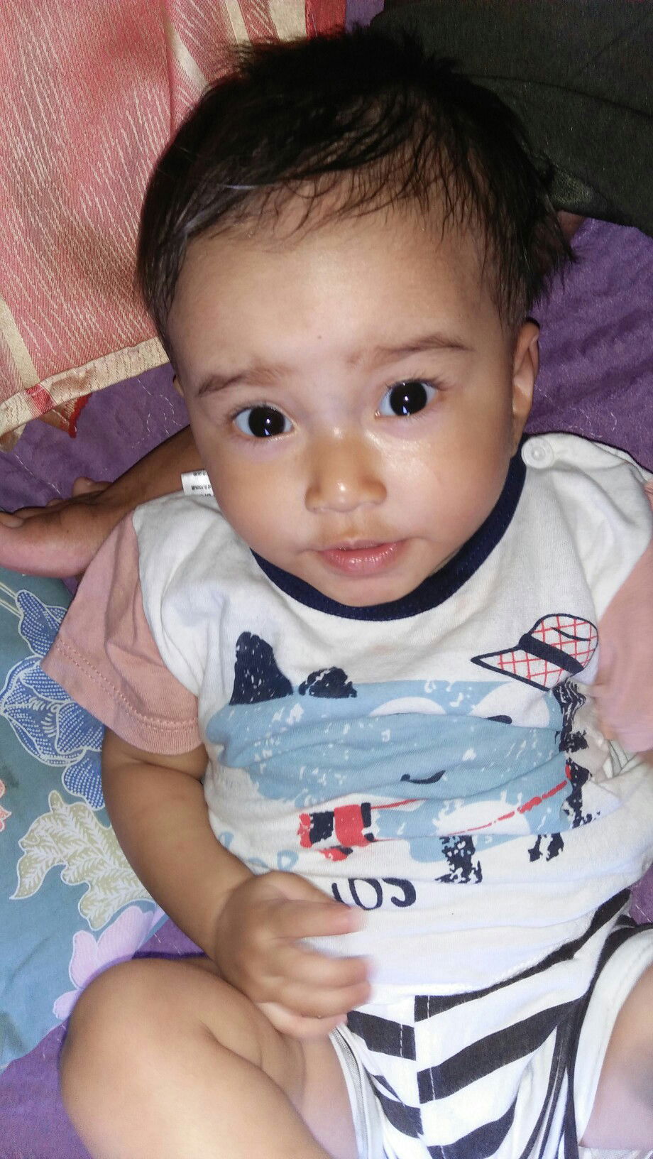 Apaja Zulkaniapaja profile icon