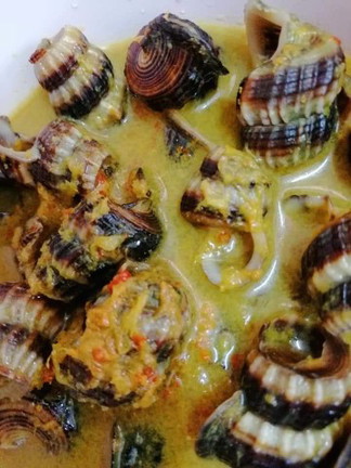 siput belitong
