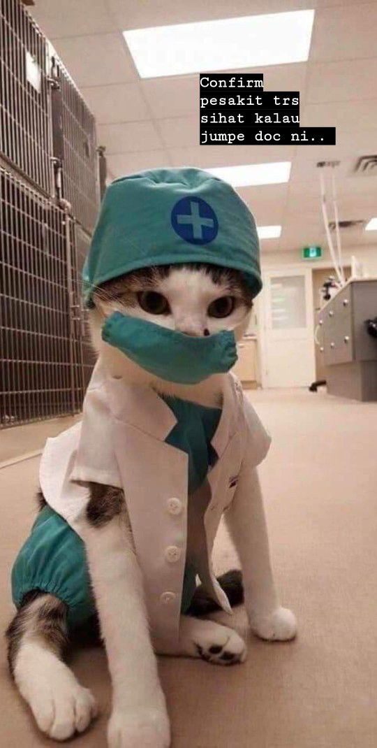 Lailynn profile icon