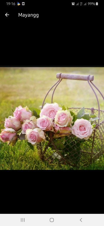 tya saputri profile icon