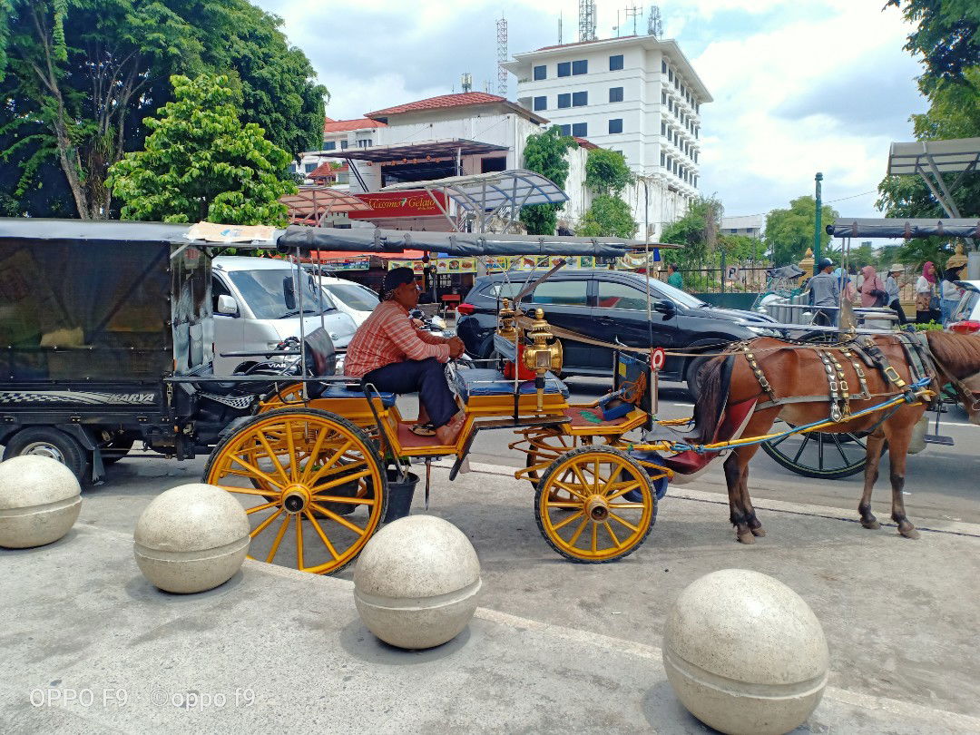 Amanda Priscilla profile icon