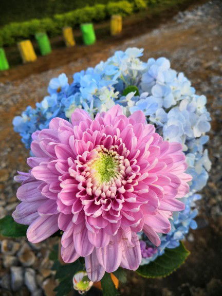 Ummu Abdullah☺️ profile icon