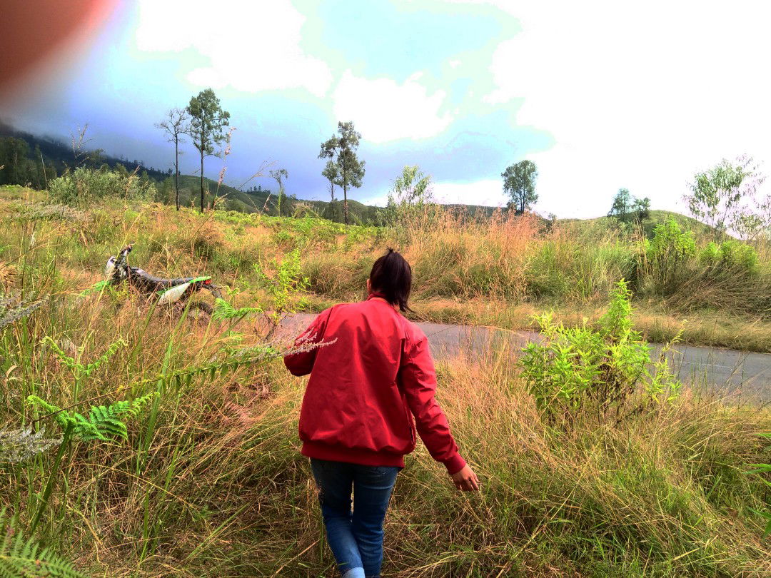 Laras D.S profile icon