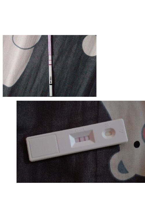 ตั้งครรภ์