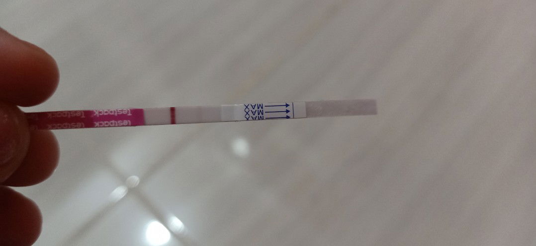 TP ini apakah saya hamil ?