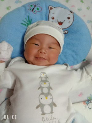 ปู ปู  โดนัท profile icon