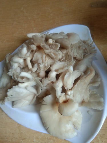 mushroom po sya pwede kaya kainin? preggy po