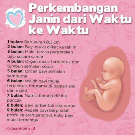 perkembangan bayi