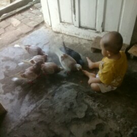 Kegiatan Di sore Hari