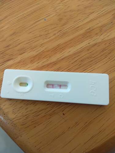 Pregnancy Test