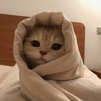 Yel Alanis profile icon