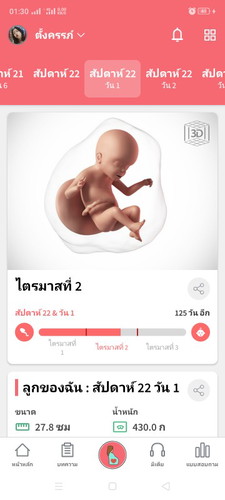 ทีมพ.ย