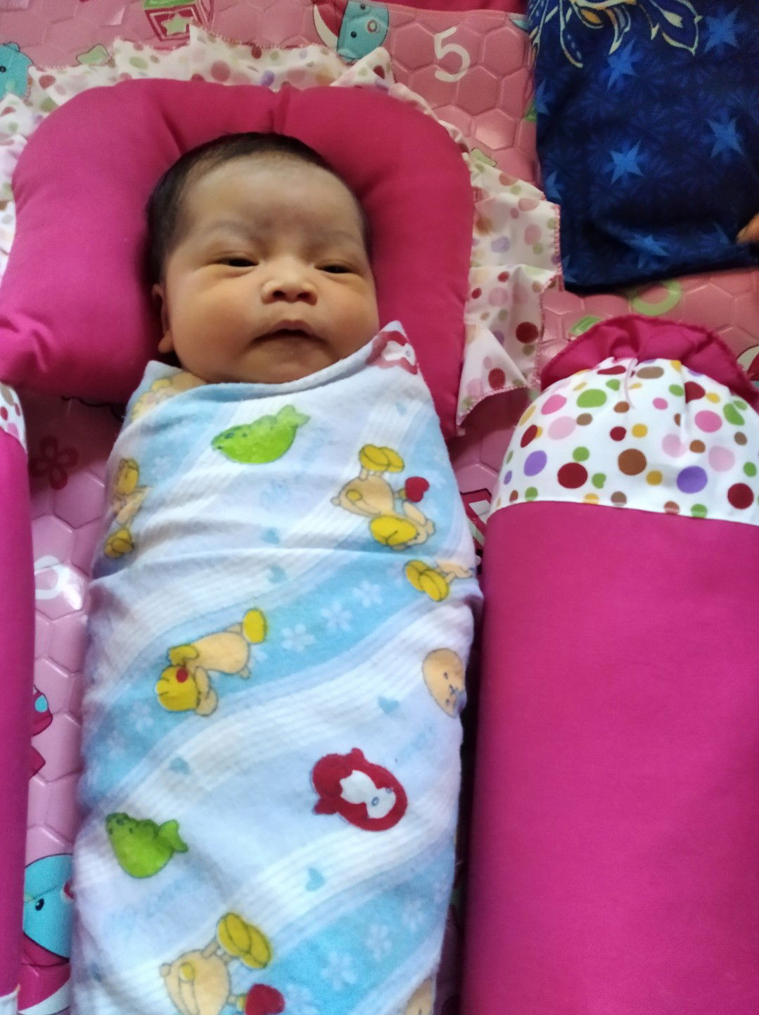 Adi mulyo profile icon