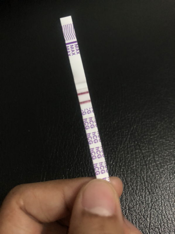 pangpang profile icon