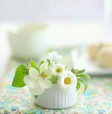 Nina Karlina profile icon