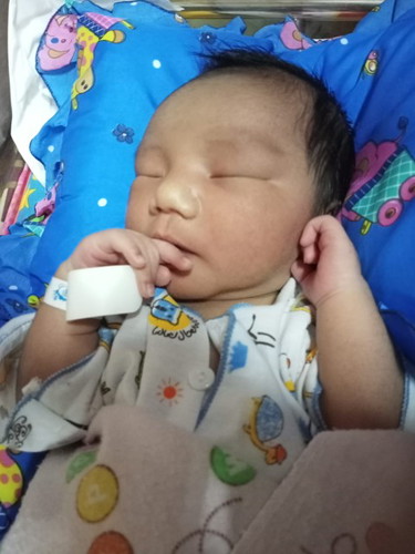 hplnya maju