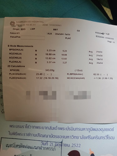 ในใบอัลตร้าซาวด์บอกเพศตรงไหนค้ะ