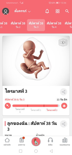 ขอดูทีมพฤษภาหน่อยค่ะ