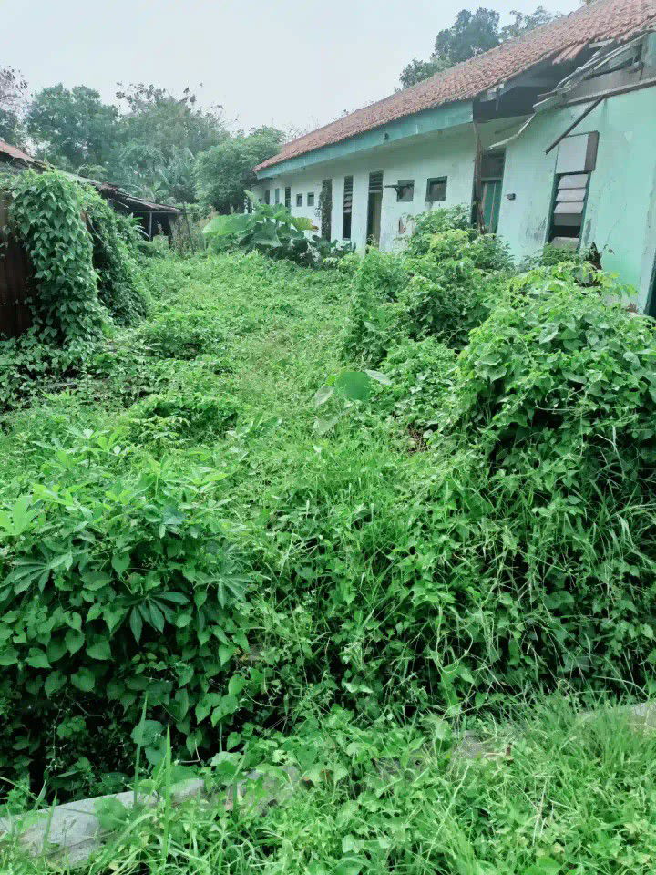 gio putra anugrah antommy profile icon