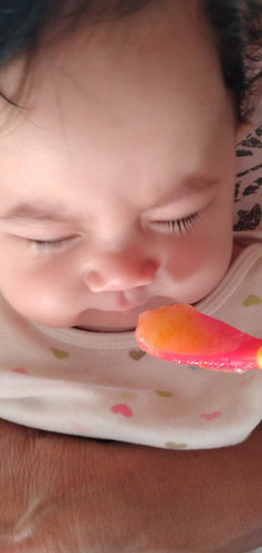 1st complimentary feeding