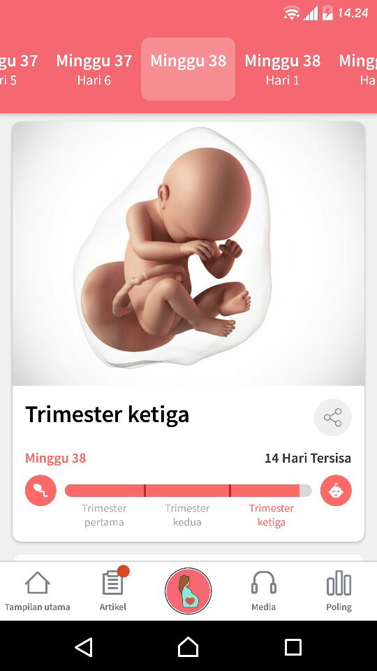 38w, Lagi Nunggu Gelombang Cinta ❤️
