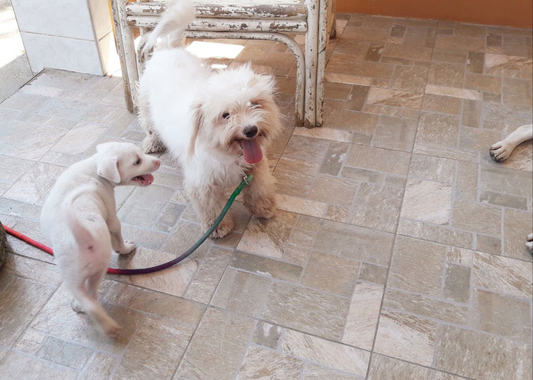 Jitz Araneta profile icon