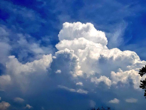 เจ้าตัวเล็กตัวน้อยของแม่​ profile icon