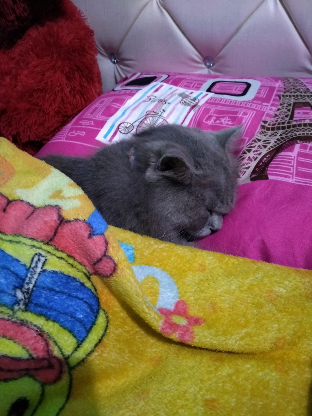 Fika Syuhada profile icon