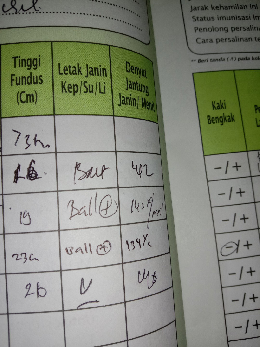bumil