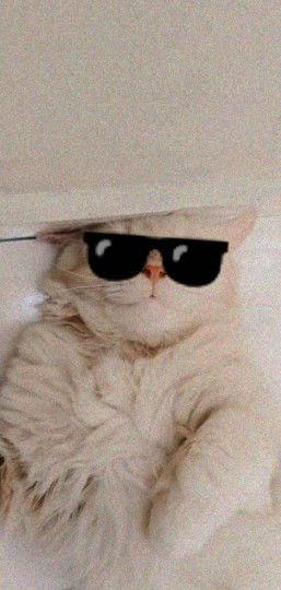 Nichole Lee Ling profile icon