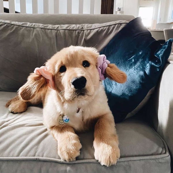 กะทิ กะทิ profile icon