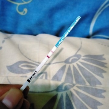 hasil test