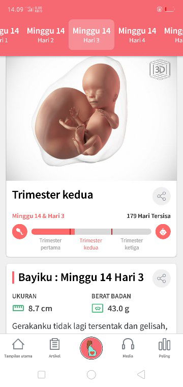 perut masih kecil