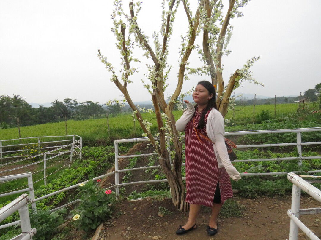 Isti Isti profile icon