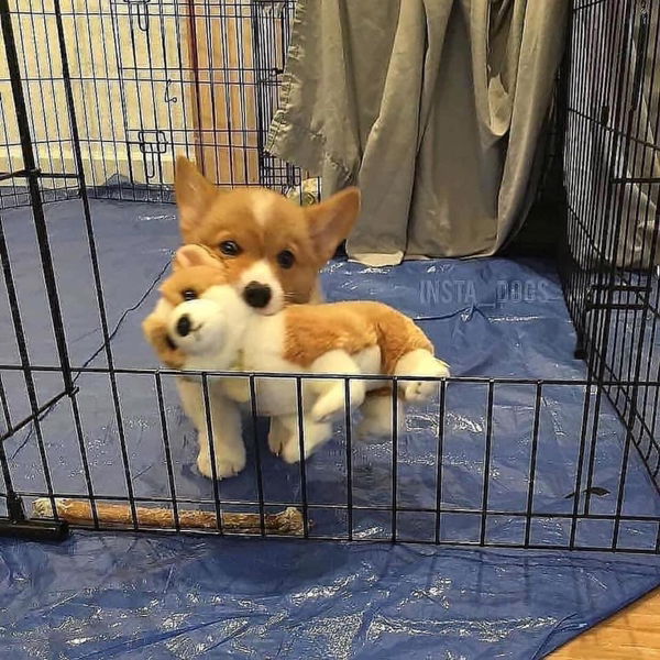 Mommy m profile icon