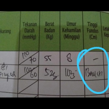 tinggi pundus