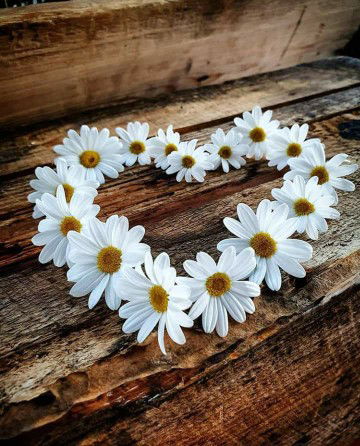 Iin marlina profile icon