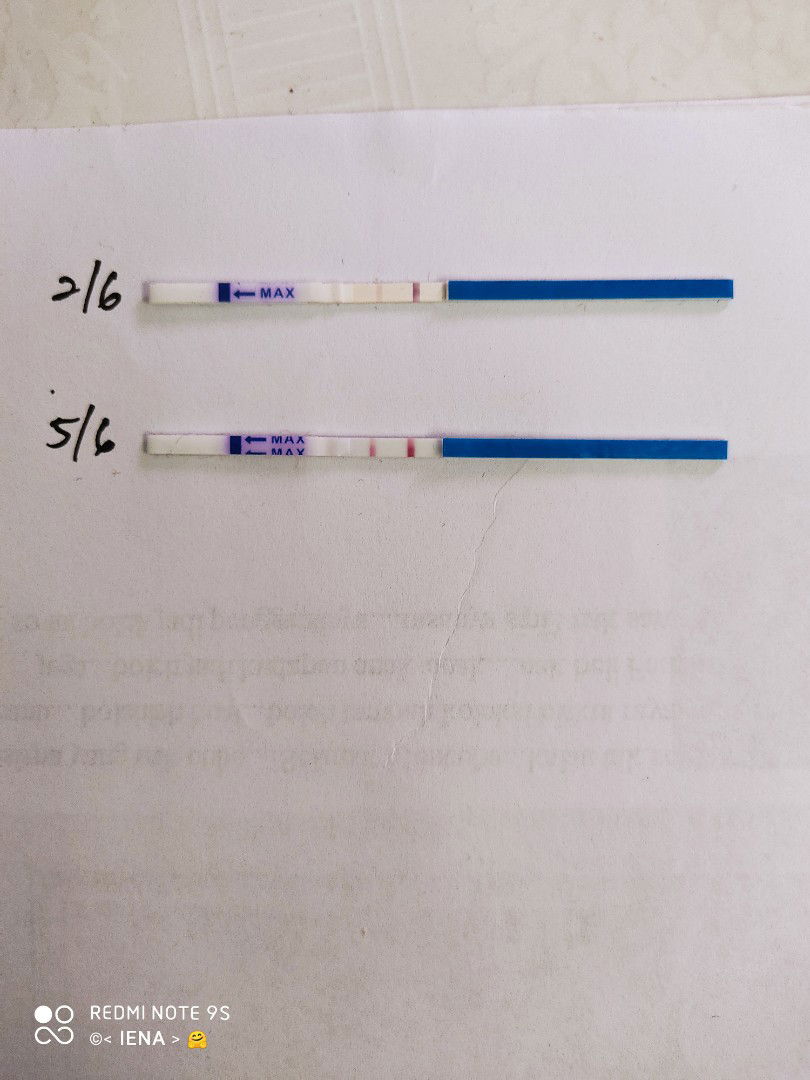 adakah pregnant semula...