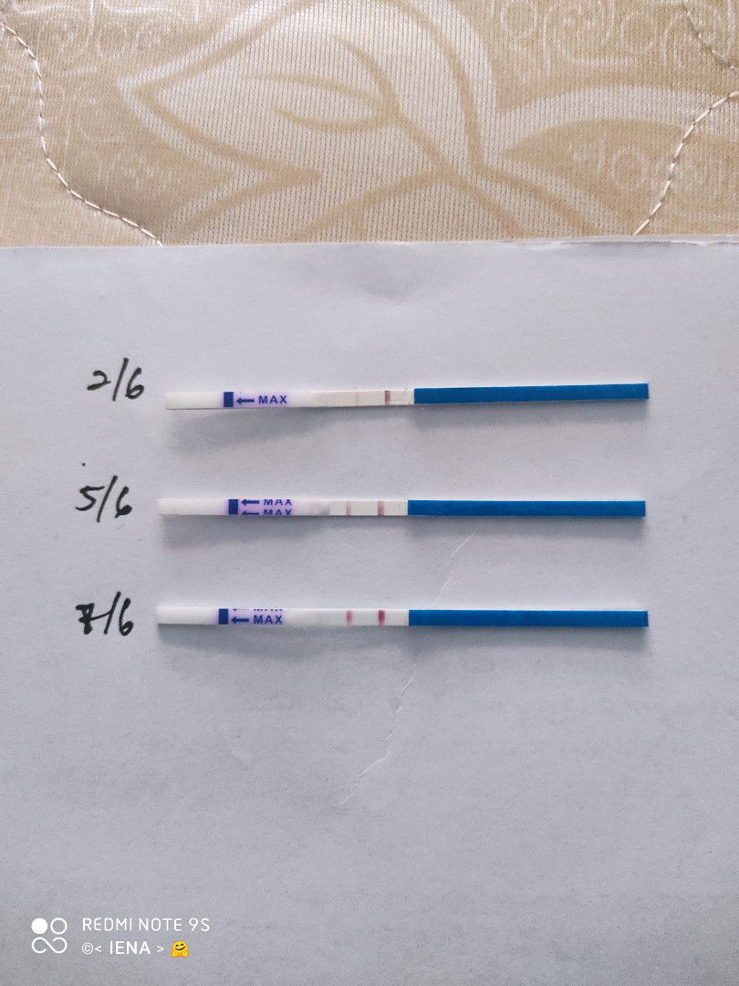 kandungan berpa weeks??