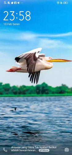 kehamilan
