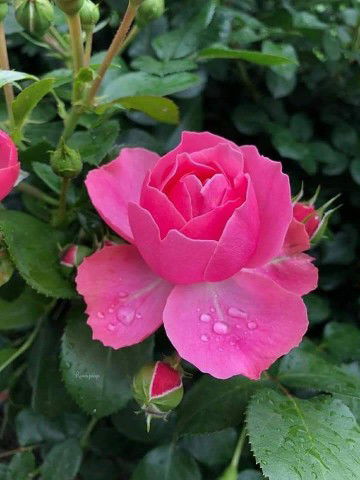 คุณแม่ลูกสอง ..?? profile icon