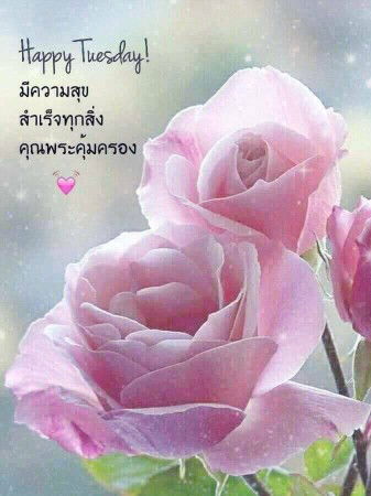 Macha mic profile icon