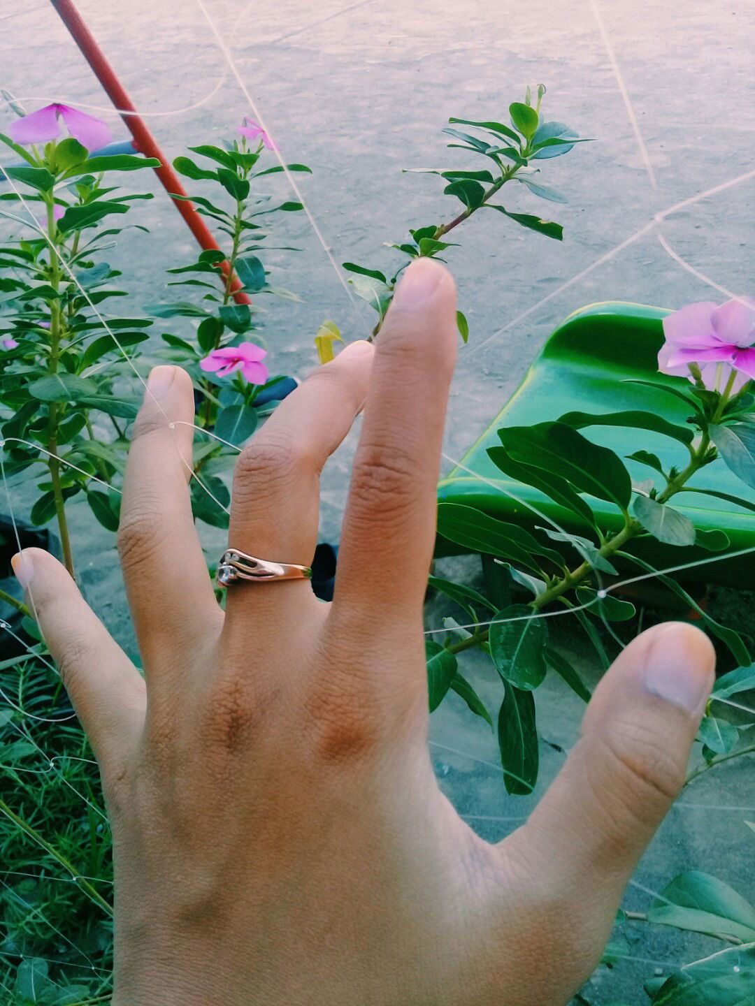 SusantiMemey profile icon