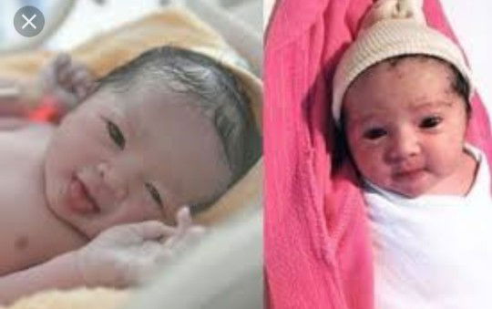 Nolly Dedi profile icon