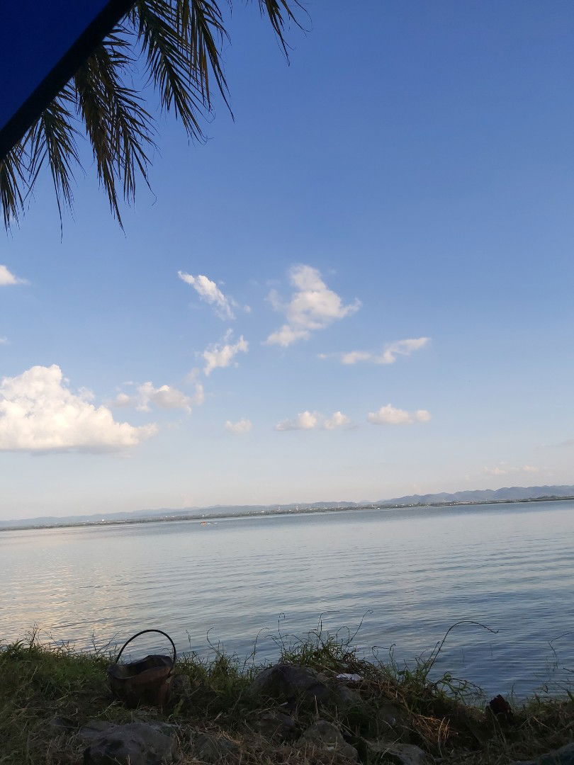 สโรชา profile icon