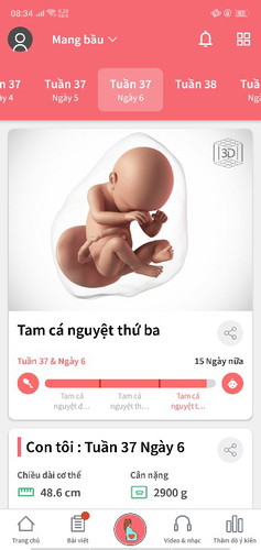 kết thúc thai kỳ sớm