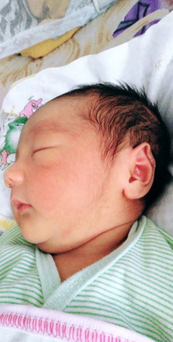 HPL 05 JUNI , LAUNCHING 05 MEI