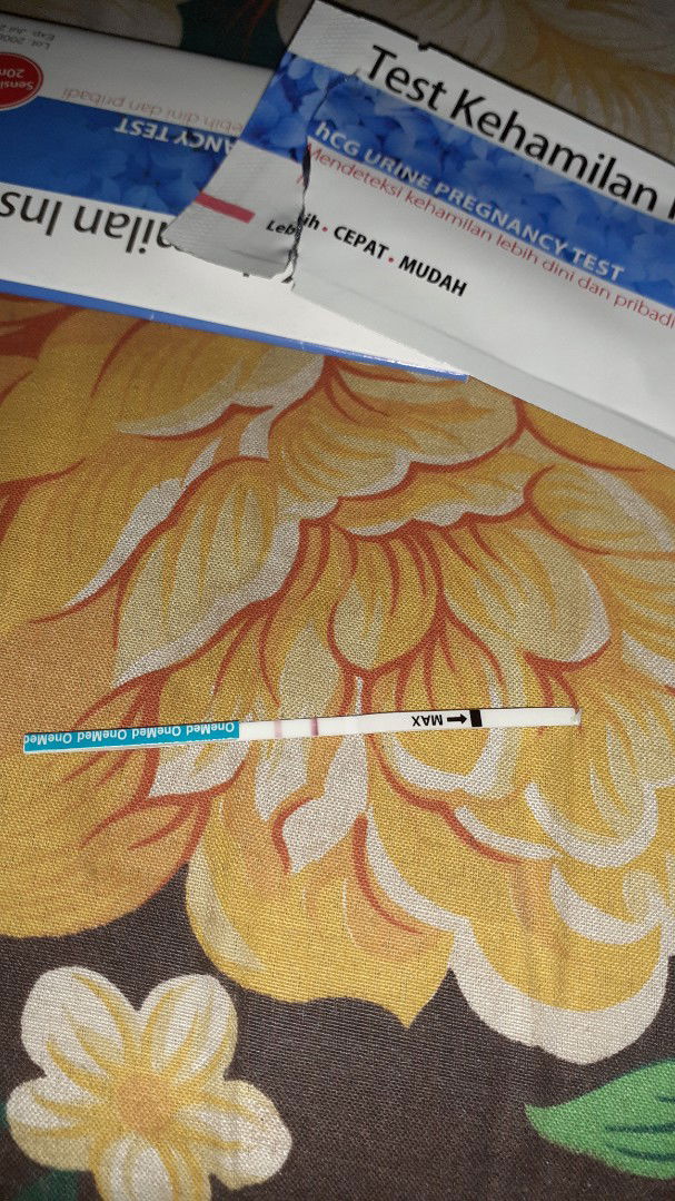 KEHAMILAN