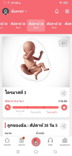 ตั้งครรภ์