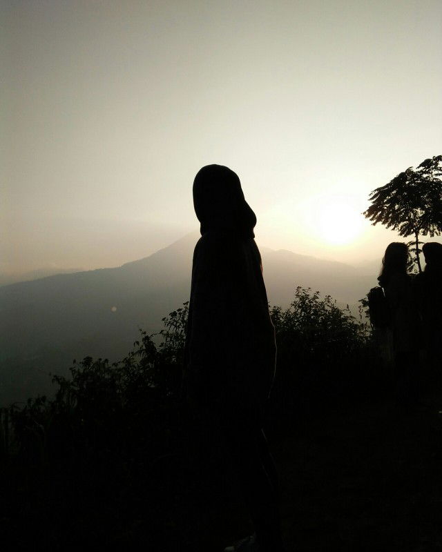 dellavia profile icon